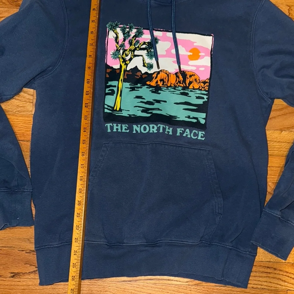 THE NORTH FACE Men's Graphic Injection Hoodie, Shady Blue/Wasabi, Medium‎